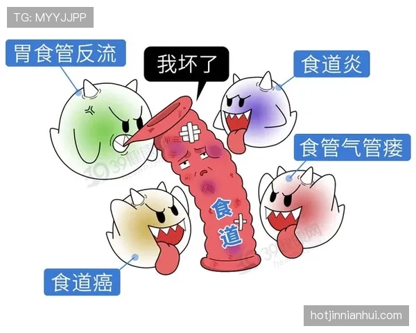 想要明确身体接触判罚标准?先搞清楚这个关键原则 想要明确身体接触判罚标准?先搞清楚这个关键原则